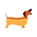 Hot Dogz