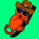 Solana Tarsier