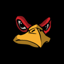 The RoosterHooD Server Icon