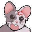 Rat Emote Dump
