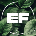 Enchanted Forest