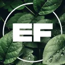 Enchanted Forest's icon