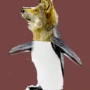WOLFGUINS