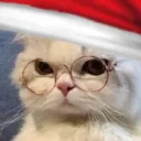 🎄Holiday Server🎄