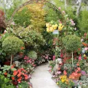 Flower Garden