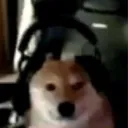 Amnotdev's server