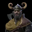 Wild Vikings