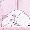 Server von Little_neko