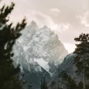 Cedarfall [REBOOT]