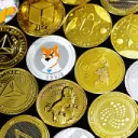 coinsights.xyz