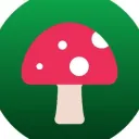 Wonder Game