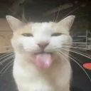 Lxna's Official Server For Projects And Stuff.