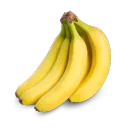 Monkeysexual Safespace's icon