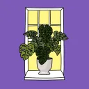 Algo House Plants