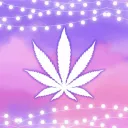 LCRP 2.0  | White Widow