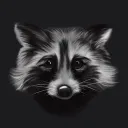 Raccoon Village