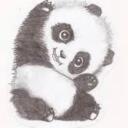 PandaGang Discord Server Icon