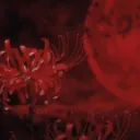 The Dark Realm