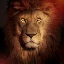 No Kingdom without Kings | Simon Needham