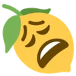 Lemons.services