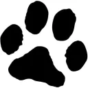 CryptoCocoA