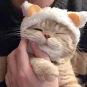 charmolypi
