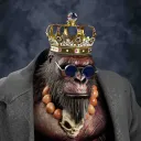 The Darwin Apes