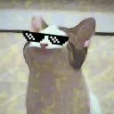 🥥🌴 Pleasure Island 🌴🥥's icon