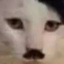 𝒢𝒶𝓂𝒾𝓃ℊ 𝒶𝓃𝒹 𝒸𝒽𝒾𝓁𝓁𝒾𝓃ℊ