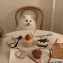 isa's cat café :3