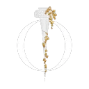 Team Olympus