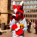 Furry Community