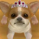 Nintendogs Discord Server Icon