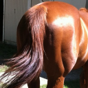 Discovery icon for The Blue Food Discord Discord server