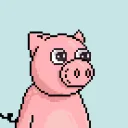 The Crypto Pigz