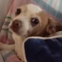 Penny For Your Thoughts