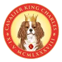 Cavalier King Charles - Charly