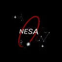 NESA development