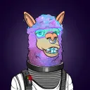 Moody Llamas Club
