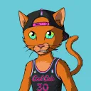 Master Cats