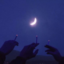 ᴮᴬᴮᵞ ˢᴴᴬᴿᴷ,🖤