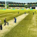 cricket sim