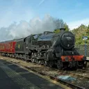 The train group.