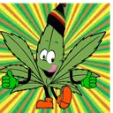 The Weedy's