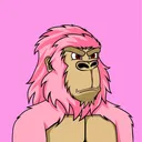 Ape Kingdom