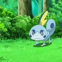 Sobble’s Soiree