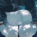 Mapleの集い場