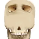 *Minecraft skeleton noises*