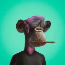 Bored Ape Era