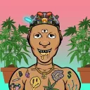 Dasher420